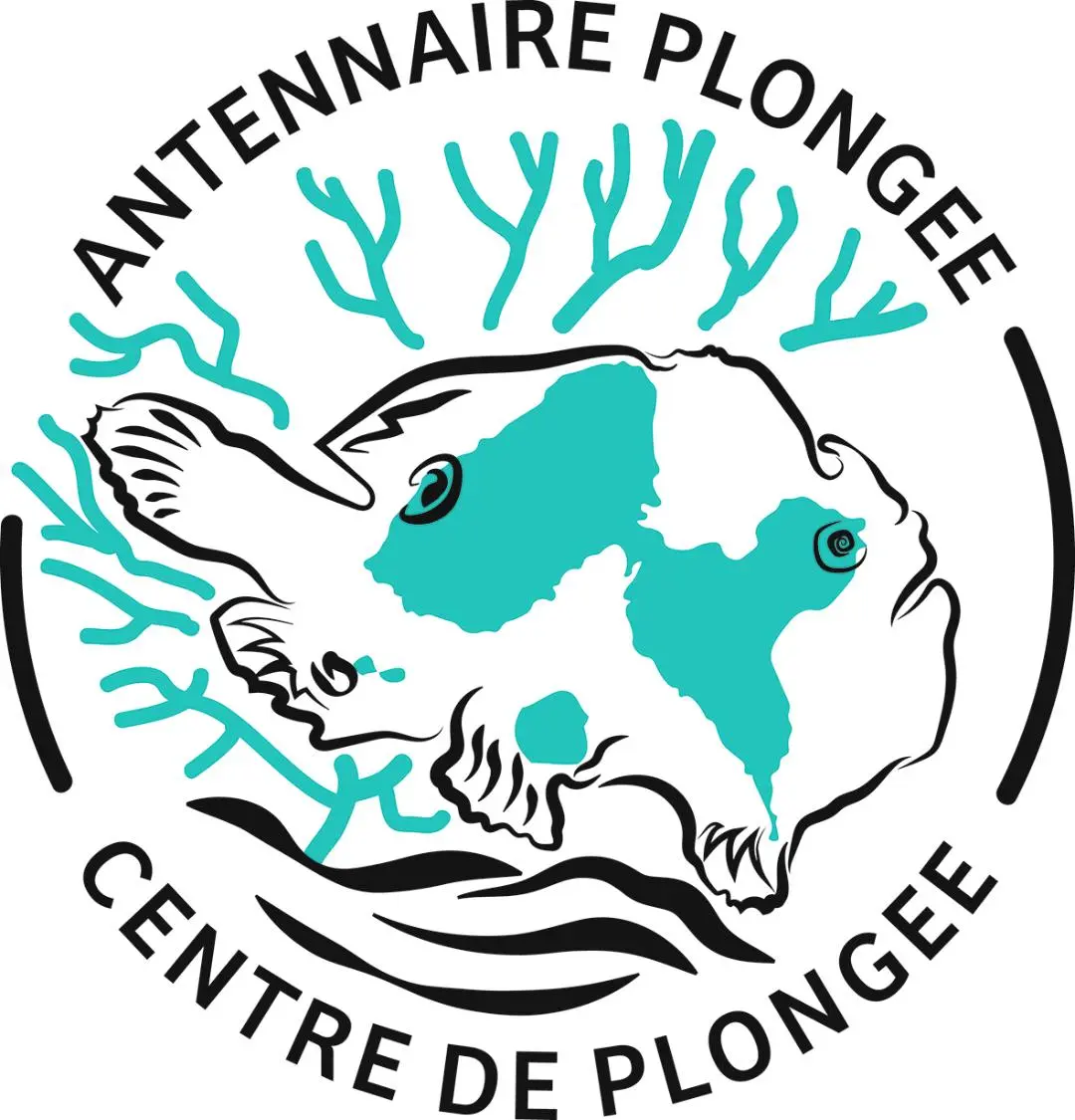 antennaire_plongee