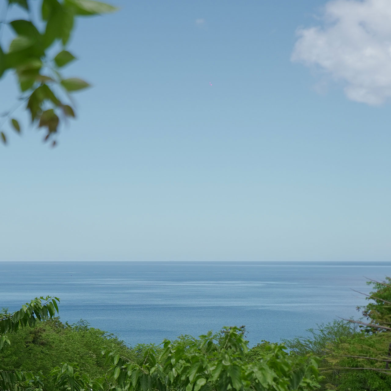 tropic-bay-ext-02